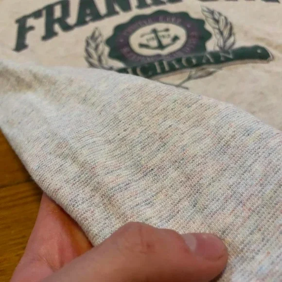 VTG 90s Gear for Sports Frankfort Michigan crest rainbow flecked tshirt L USA - Picture 3 of 8